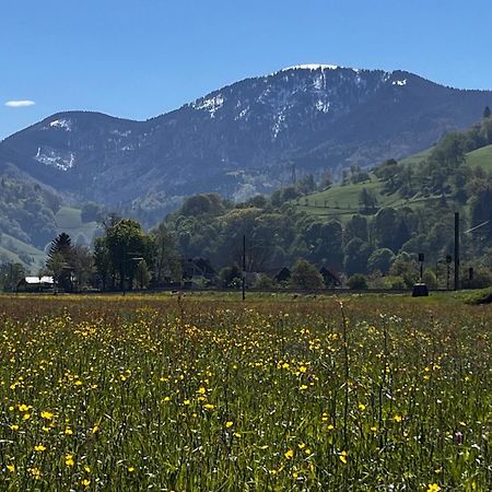 Gaestezimmer Münstertal Buitenkant foto